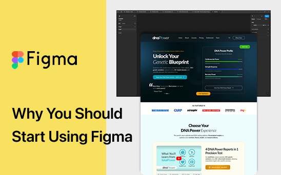 Why You Should Start Using Figma